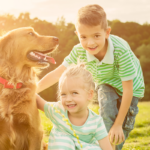 Qual raça de cão combina mais com as crianças?